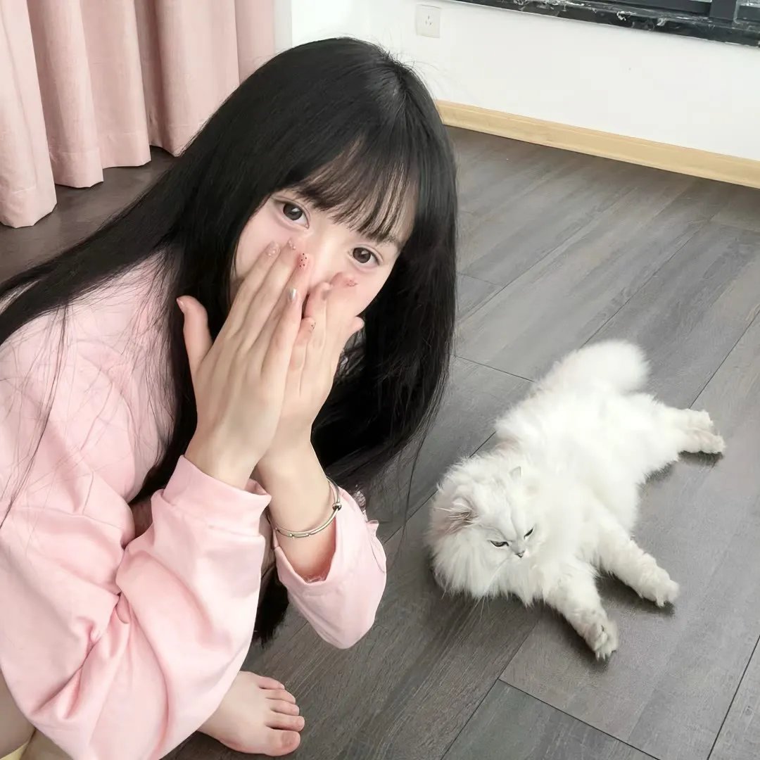 埃尔维斯